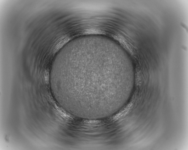 X0000093370833200710251151