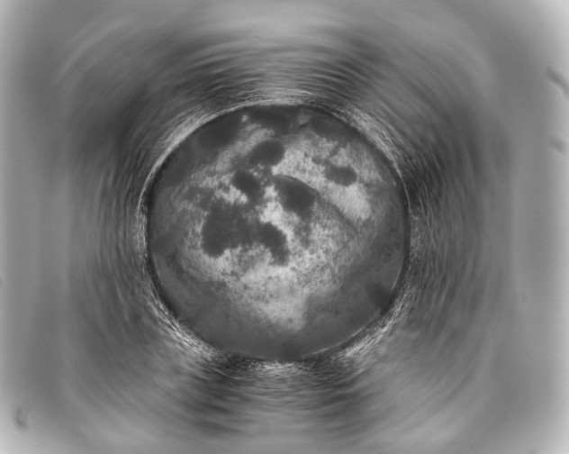 X0000093370835200710251151