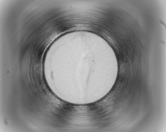 X0000093370836200710251151