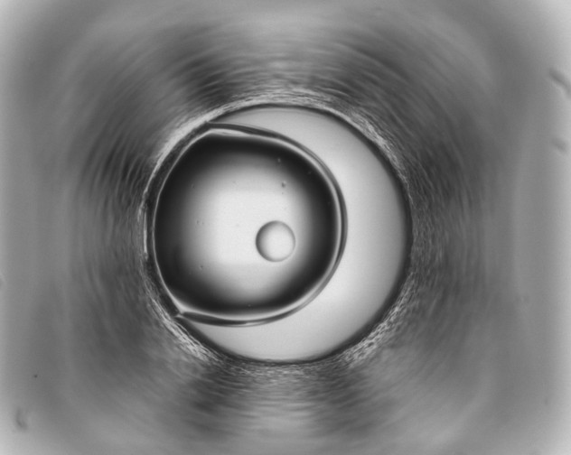 X0000093370838200710251151