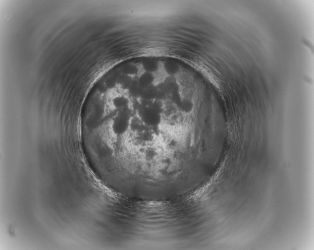 X0000093370839200710251151