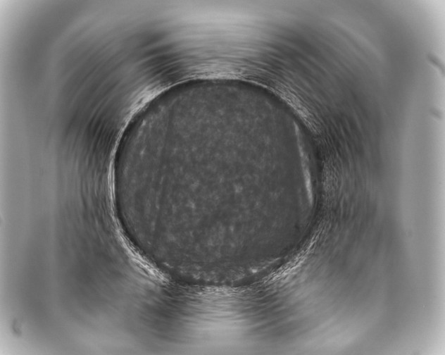 X0000093370840200710251151