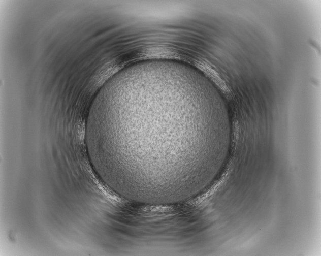 X0000093370841200710251151