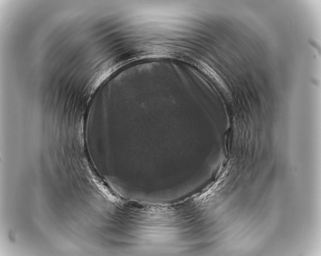 X0000093370842200710251151