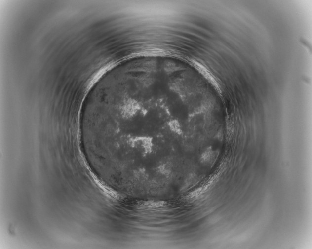 X0000093370845200710251151