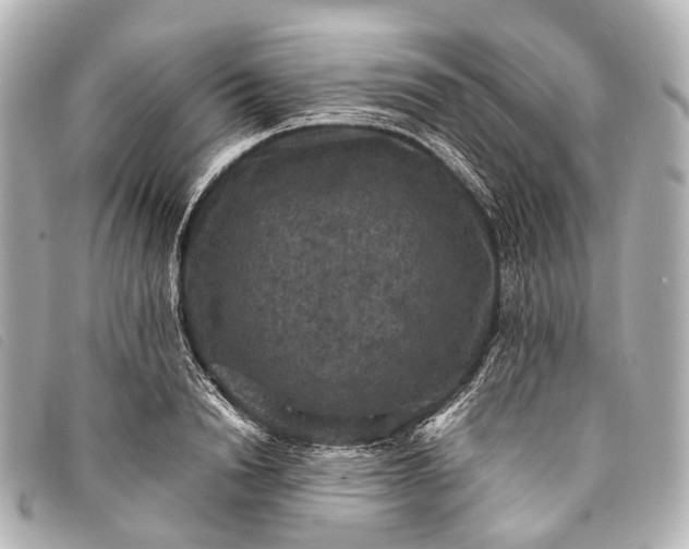 X0000093370846200710251152