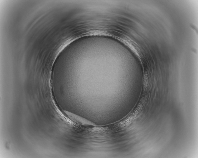 X0000093370847200710251152