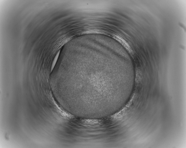 X0000093370849200710251152