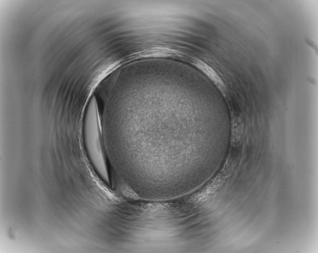 X0000093370850200710251152