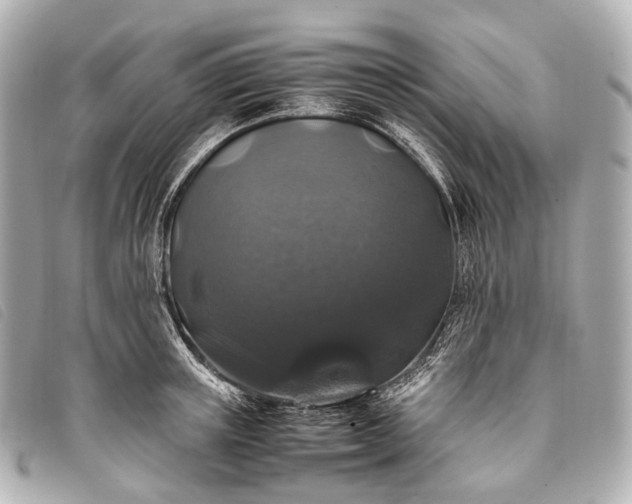 X0000093370851200710251152