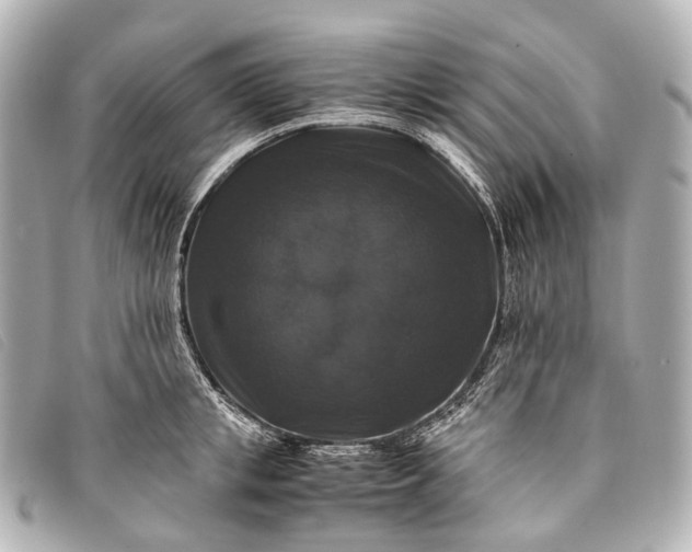 X0000093370853200710251152