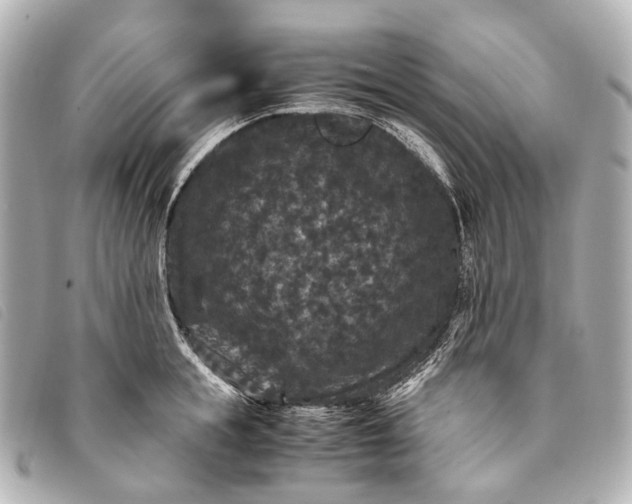 X0000093370855200710251152