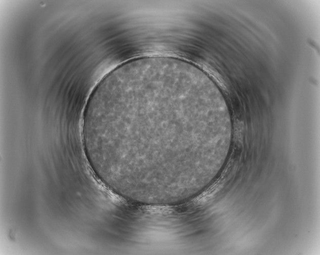 X0000093370856200710251152