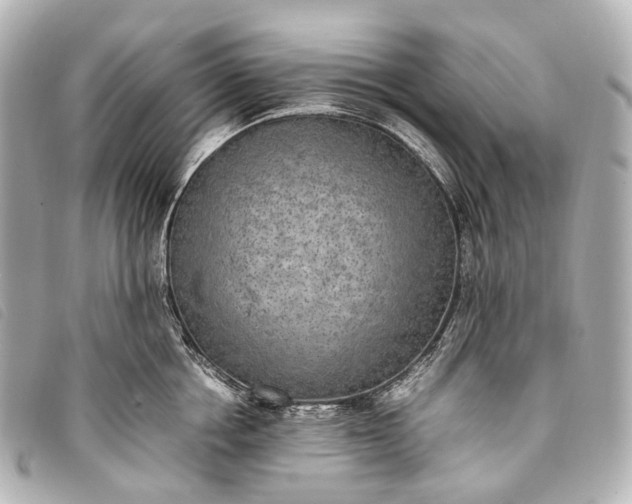 X0000093370858200710251152