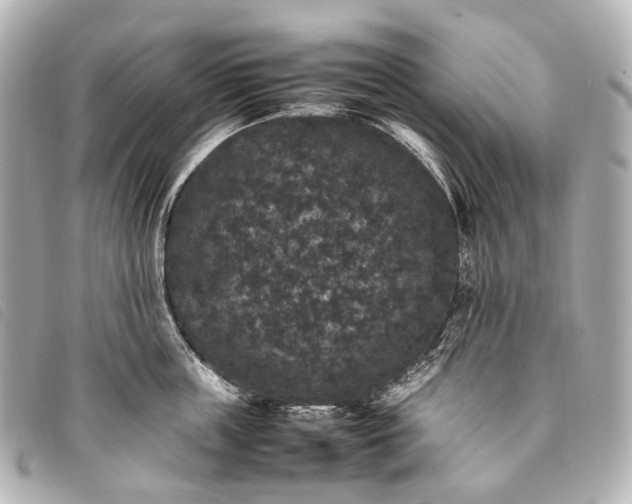 X0000093370859200710251152