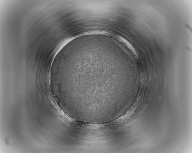 X0000093370860200710251152