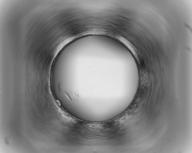 X0000093370861200710251152