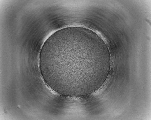 X0000093370862200710251152