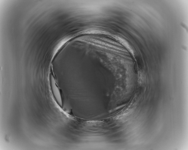 X0000093370863200710251152