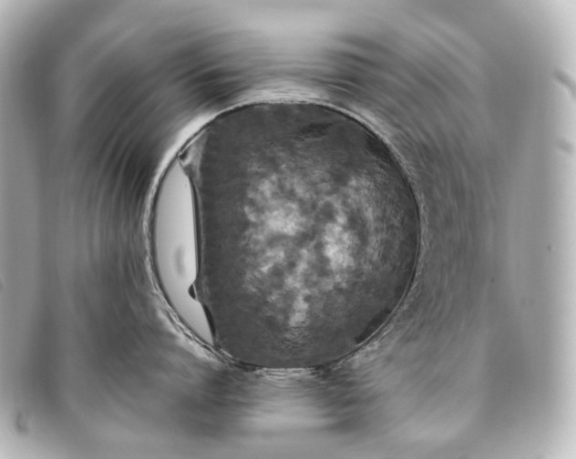 X0000093370864200710251152