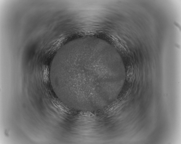 X0000093370866200710251151