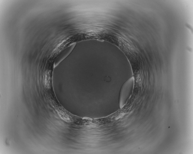 X0000093370868200710251151