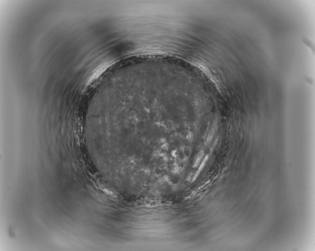 X0000093370871200710251151