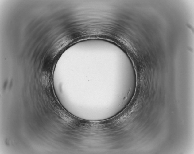 X0000093370873200710251151