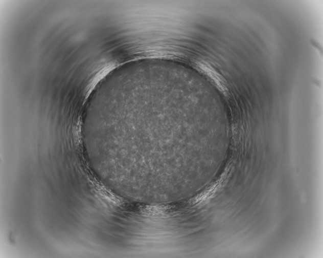 X0000093370875200710251151