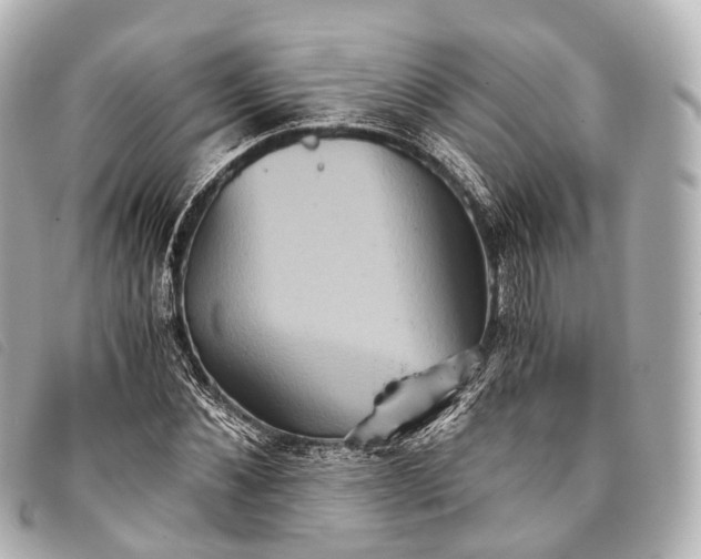 X0000093370876200710251151