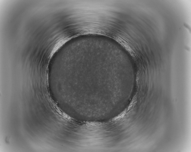 X0000093370877200710251151