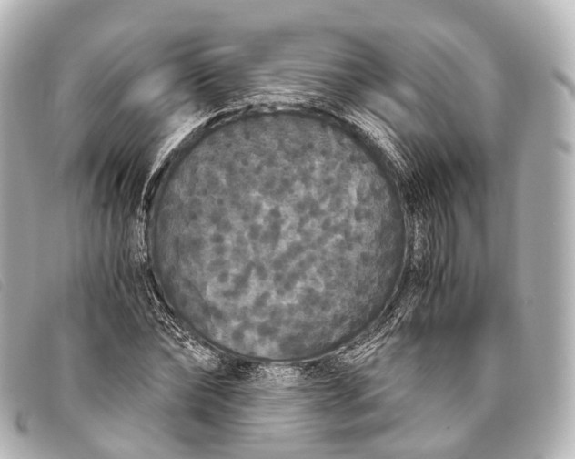 X0000093370878200710251151