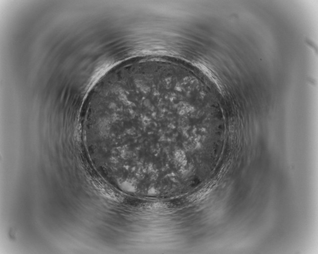 X0000093370879200710251151