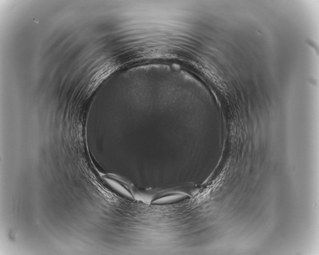 X0000093370881200710251151