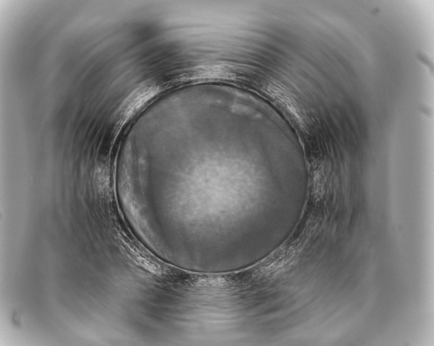 X0000093370882200710251151