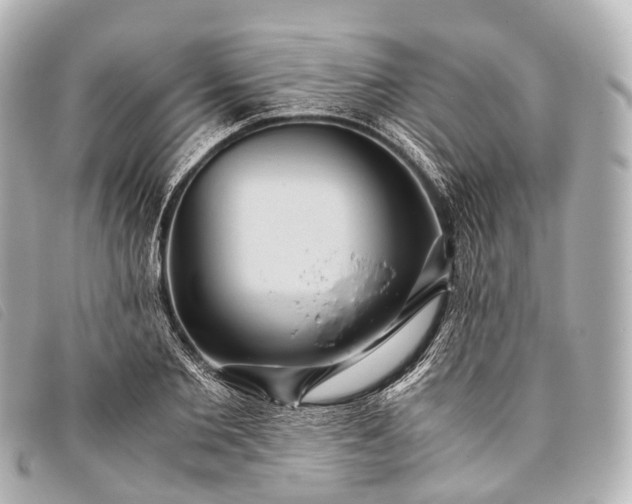 X0000093370885200710251151