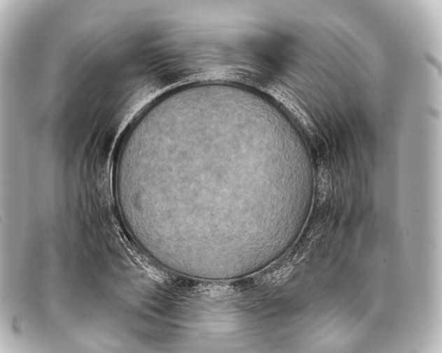 X0000093370886200710251151