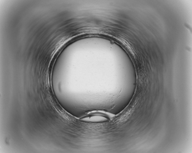 X0000093370887200710251151