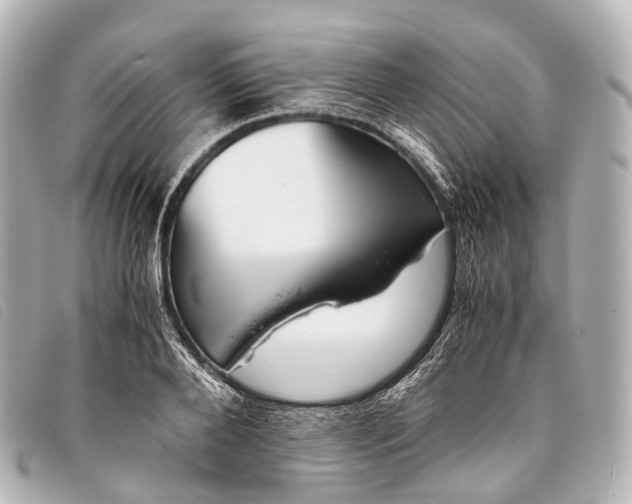 X0000093370888200710251151