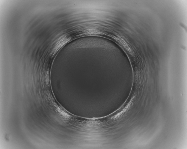 X0000093370889200710251151