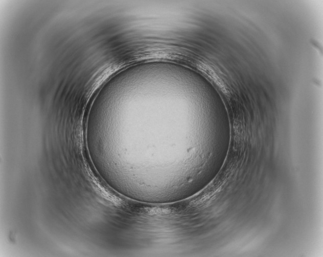 X0000093370890200710251151