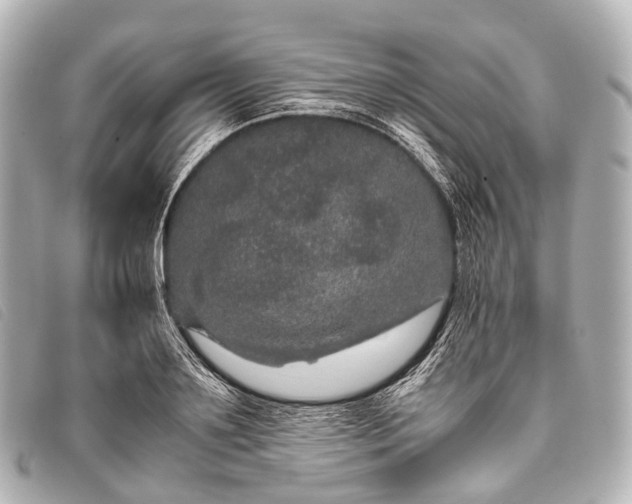 X0000093370891200710251151