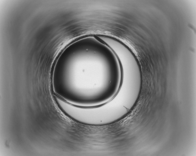 X0000093370895200710251151