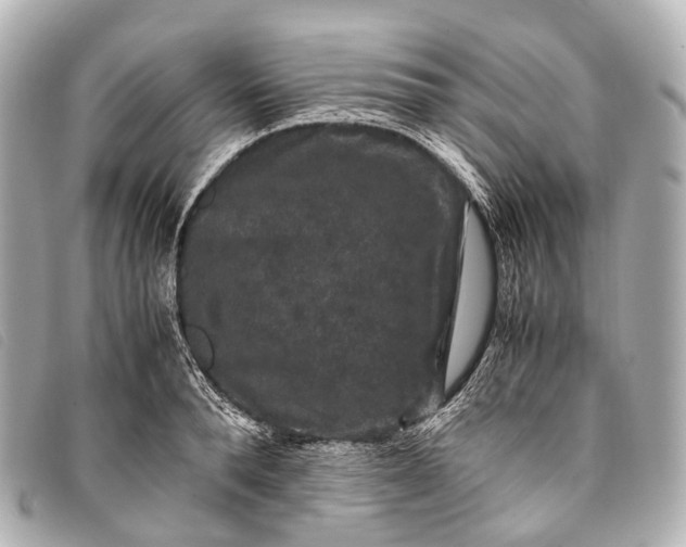 X0000093370896200710251151