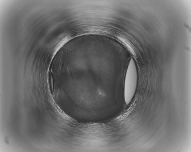 X0000093370899200710251151