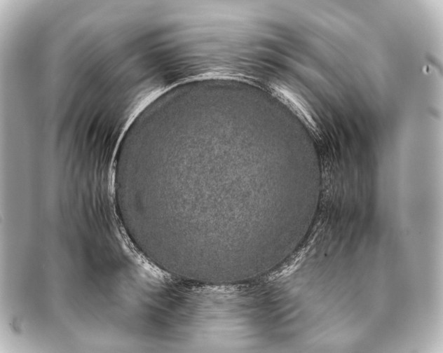 X0000093370900200710251151