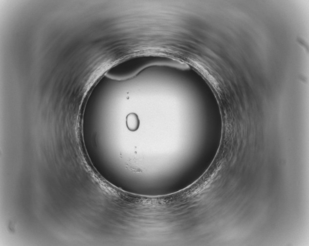 X0000093370901200710251151