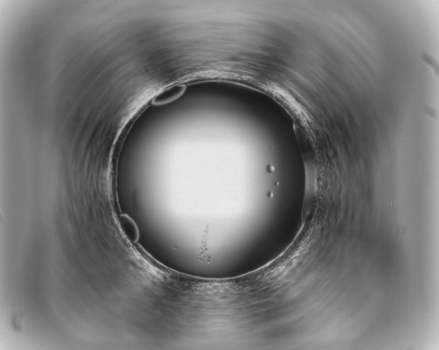 X0000093370902200710251151