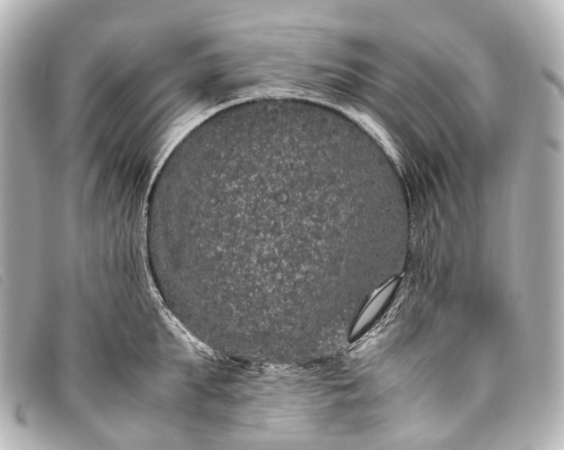 X0000093370903200710251151