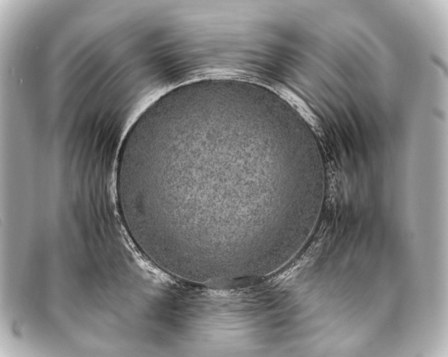 X0000093370904200710251151